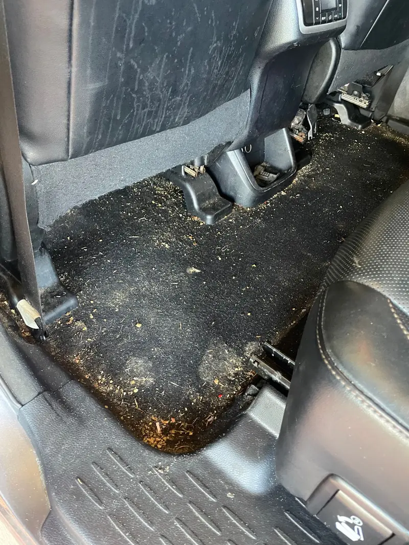 Mould on a car floor before treatment
