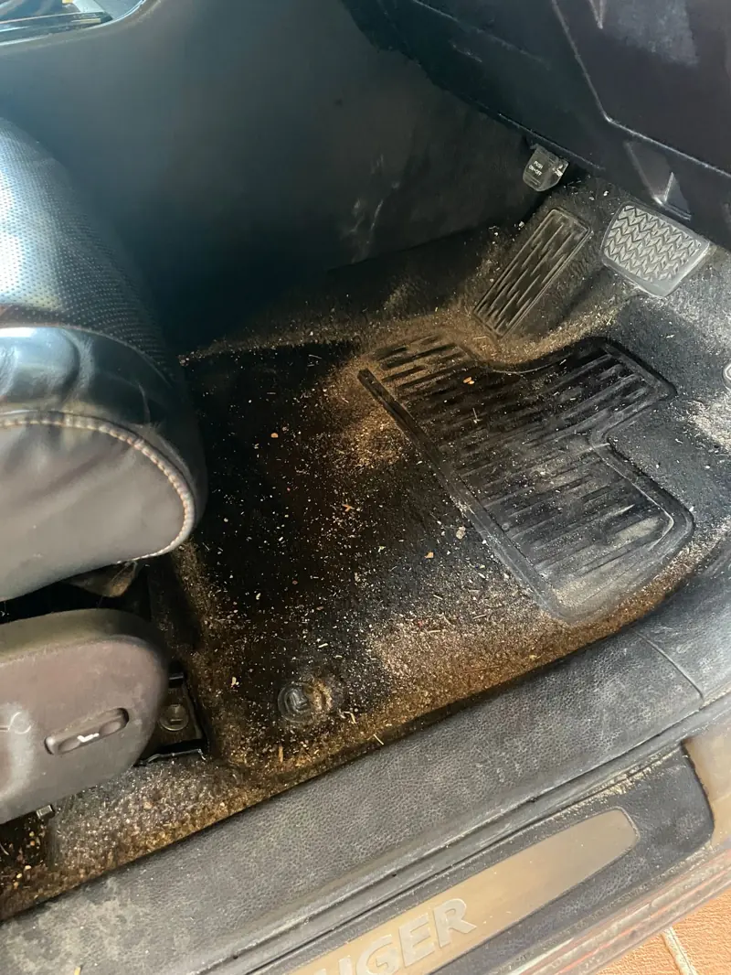 Heavy mould on a car floor before treatment