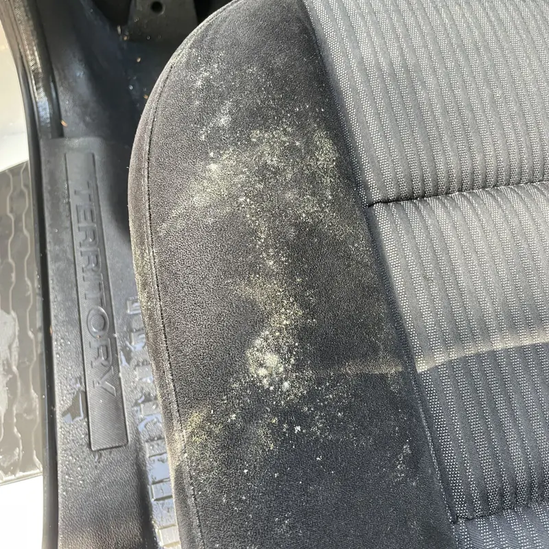 Mould spots on a seat