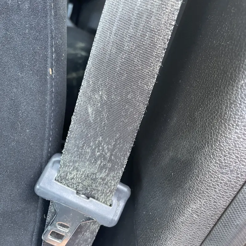 Mould on a seatbelt